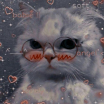 White Catz