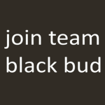team black bud