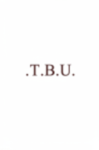 The Border Union (TBU)