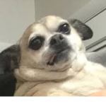 weird people unit