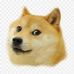 Doge TM
