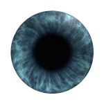 Pale Blue Eye