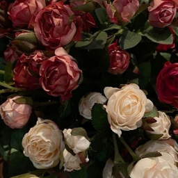 🌹