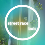 Street Race Bois SWFL