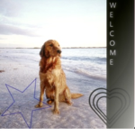 - dog support reborn -