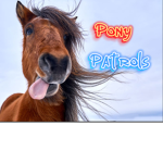 Pony Patrols