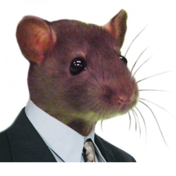 Rat Meeting Room