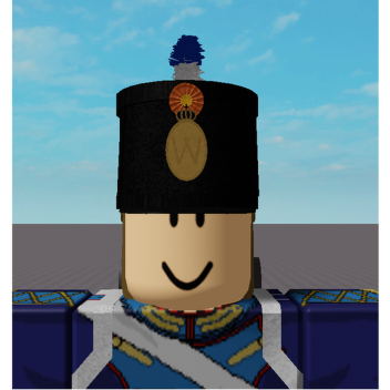 napoleonic uniforms and battles