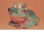 Dē frøg Sqūãd UnU