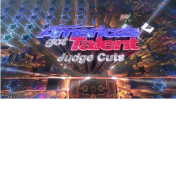 America's  Got Talent Judge Cuts