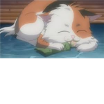 K.E.S.H.A    (kat.eats.shampoo.again)
