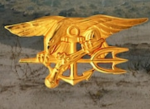 SEAL TEAM LS