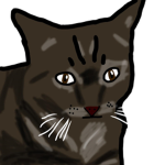 THE HOLIEST CAT