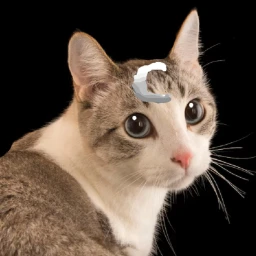 Cats Nextbots icon