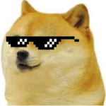 Doge YT Roblox and More