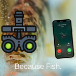 Fishie.