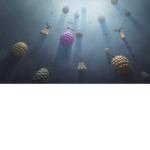 Blox Fruits stash