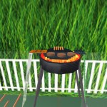 Can You Survive the BackYard?  - IamREBEL