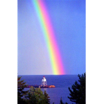 Dish’s Rainbow color group