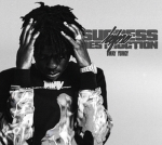 Success Before Destruction.