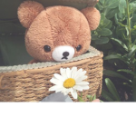 Butiful Teddy Bear Group