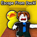 Duck Escape