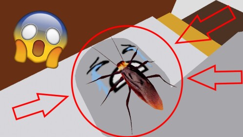 A Roach Falls on you