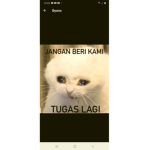 RICHIE KENAPA YA