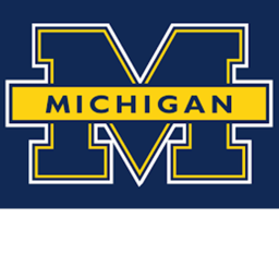 Michigan Wolverines: Michigan Stadium