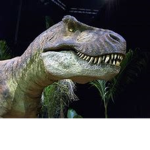 dino species