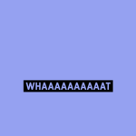 whaaaaaaaaaaaaaaaaaaaaaaaaat