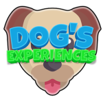Dog’s Experiences