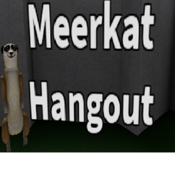 Meerkat Hangout