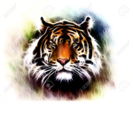 TIGERRR