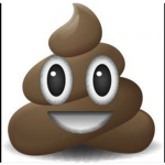 Team poopy button