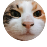 Cat group (HHG)