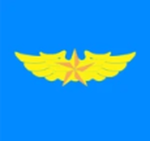 ( POVA ) People's of Vietnam AirForce