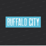 Buffalo City Official