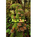 - alicia -