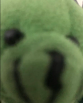 greenbear123
