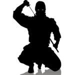 Ninja squad531