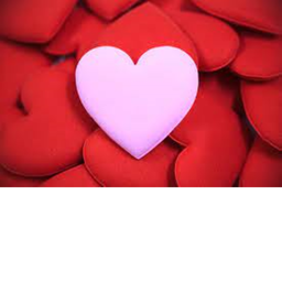 for my fans!!