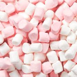 Marshmallow Studio's!