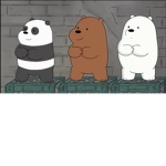 baby pop cat group