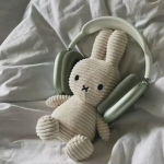 대한지역
