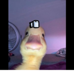 SimplyPogE