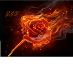 Designer Group & Sword Fighting Group (GGD)