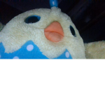 CACA DE ALEX