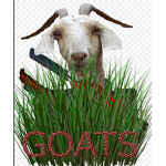 GOATSS
