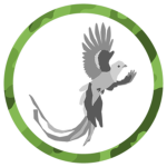 IAB | 1st Infantry Division